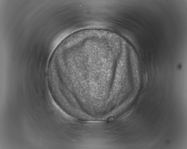 X0000116101487200912140945