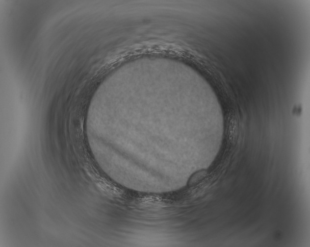 X0000116101489200912140944