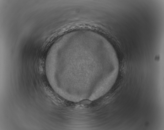 X0000116101490200912140944