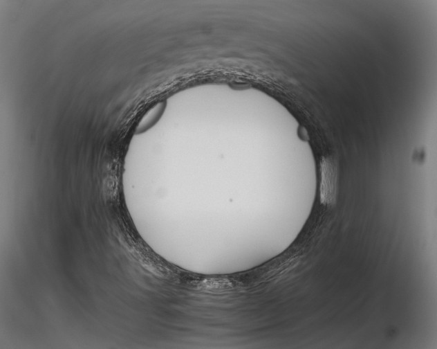 X0000116101491200912140944