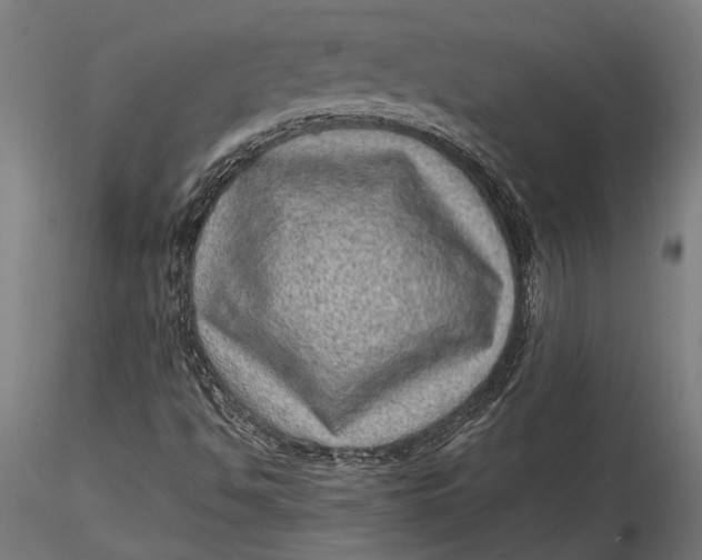 X0000116101494200912140944