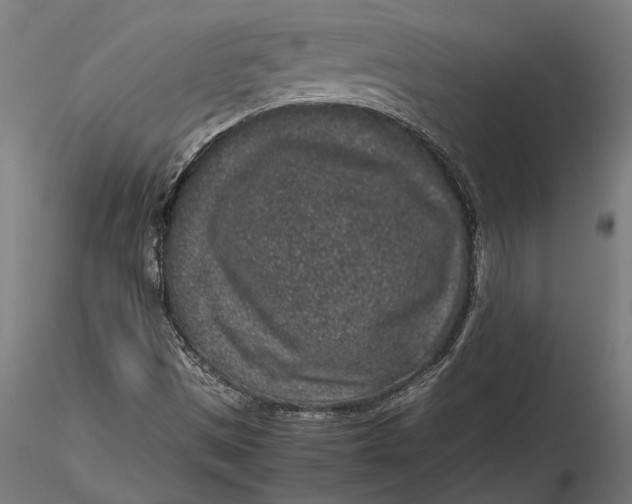 X0000116101497200912140944