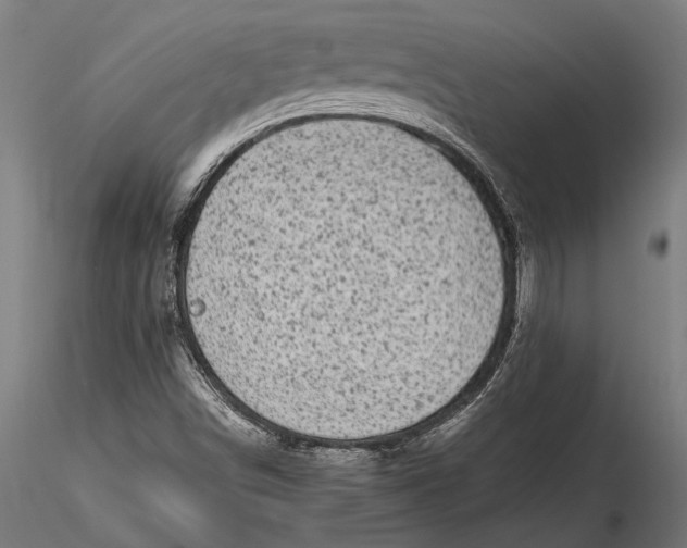 X0000116101498200912140944