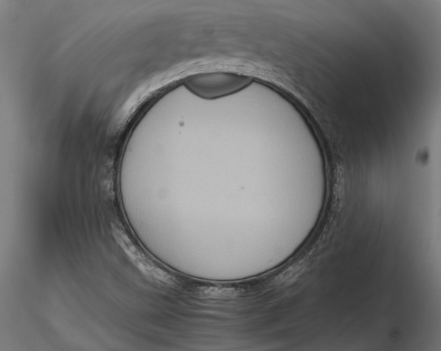 X0000116101499200912140944