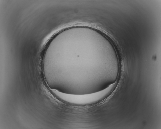 X0000116101502200912140944