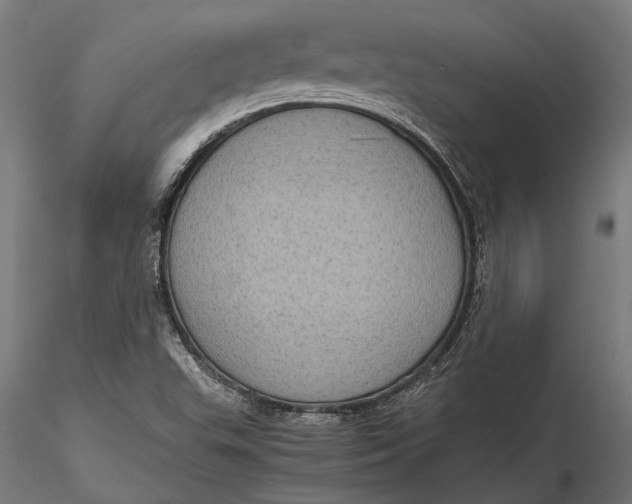 X0000116101503200912140945