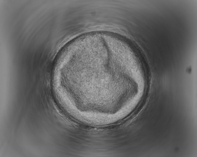 X0000116101505200912140945