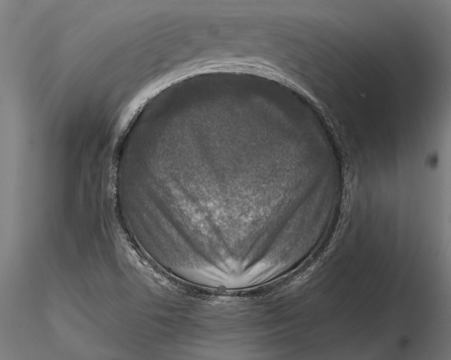 X0000116101506200912140945