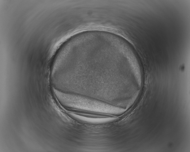 X0000116101507200912140945