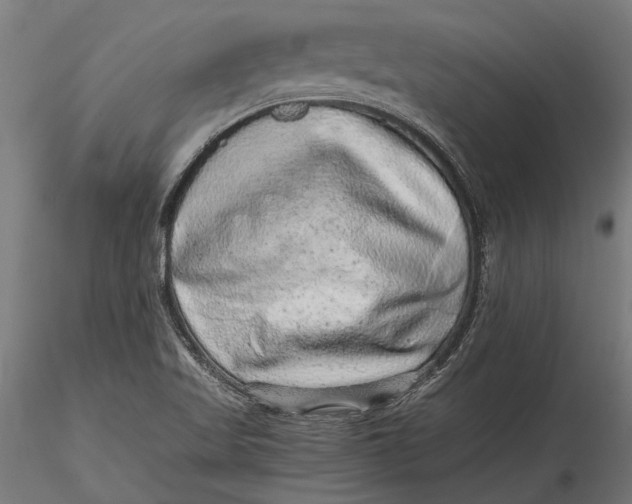 X0000116101509200912140945