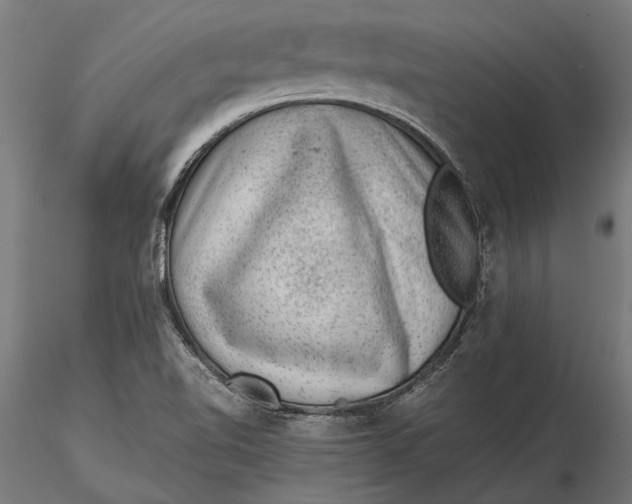 X0000116101510200912140945