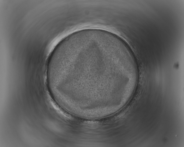 X0000116101511200912140945