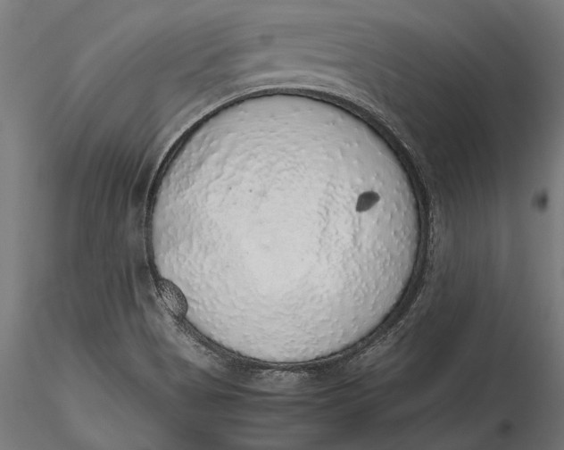 X0000116101513200912140945