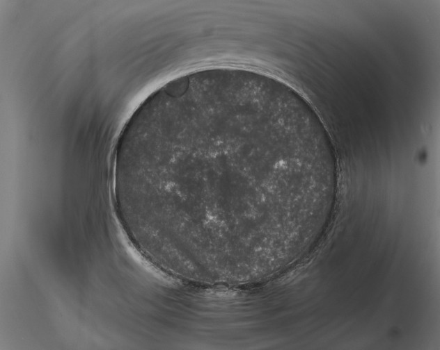 X0000116101515200912140945