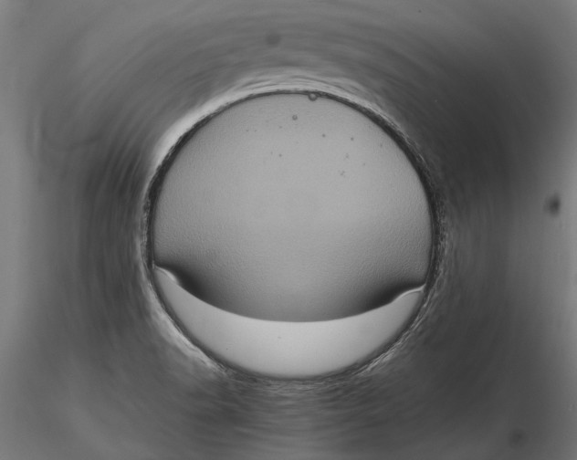 X0000116101518200912140945