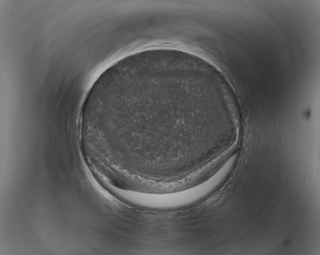 X0000116101519200912140945