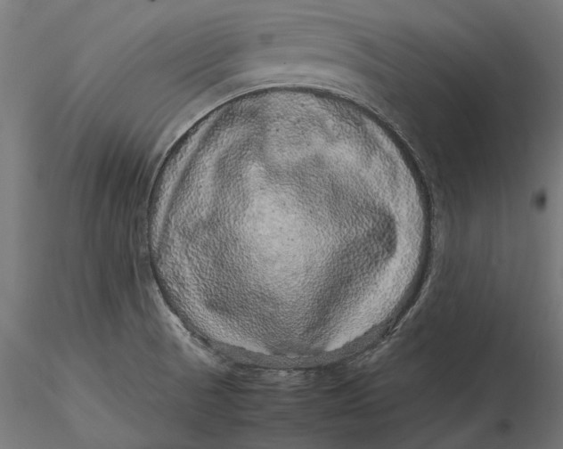 X0000116101521200912140945