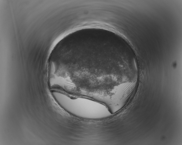 X0000116101522200912140945