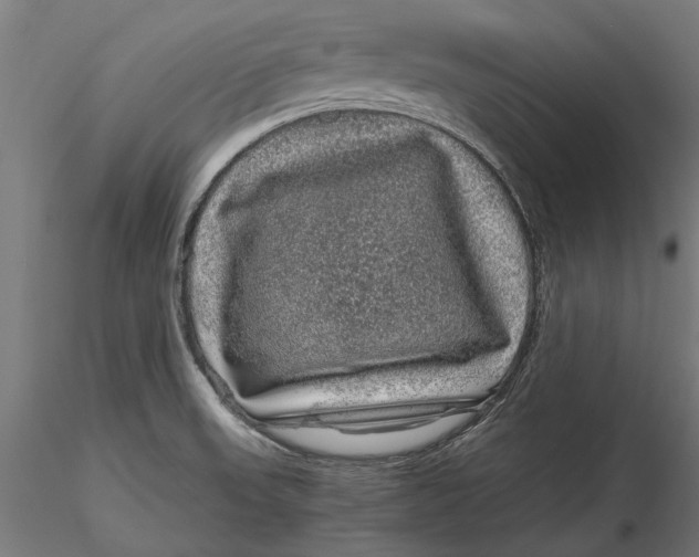 X0000116101523200912140945