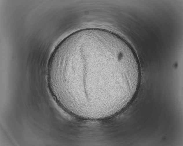 X0000116101525200912140945