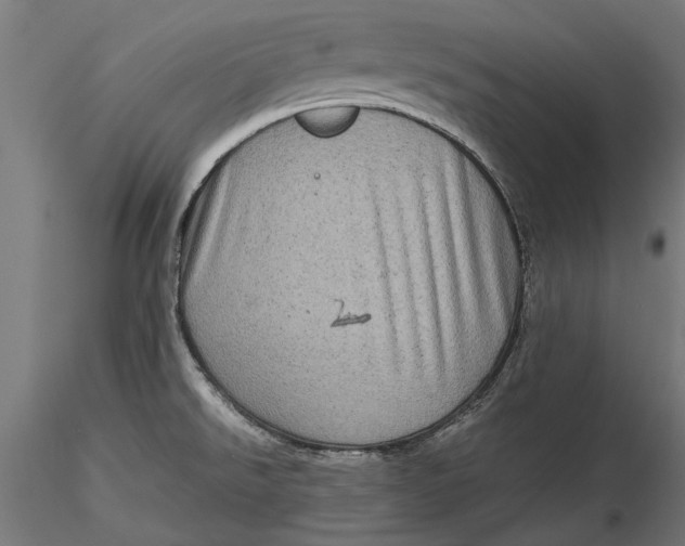 X0000116101526200912140945