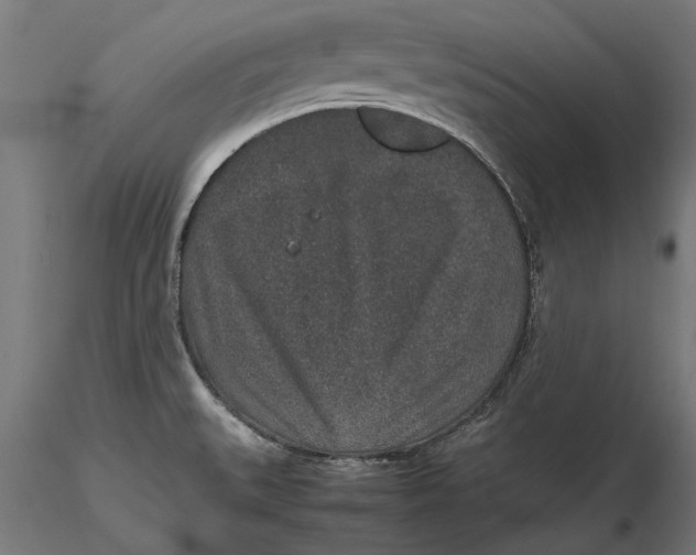 X0000116101527200912140945