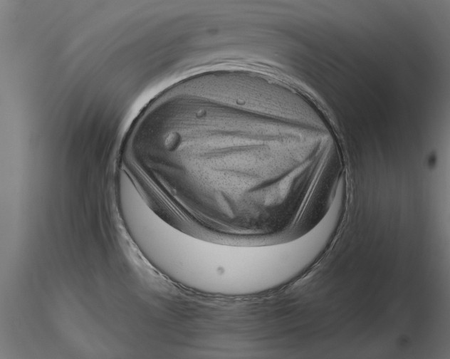 X0000116101530200912140945