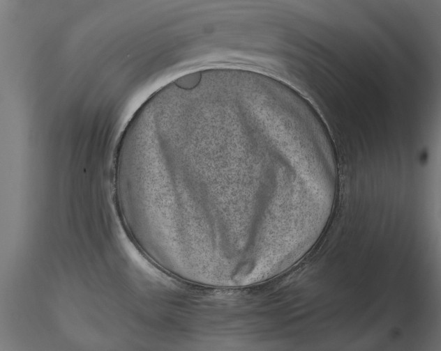 X0000116101531200912140945