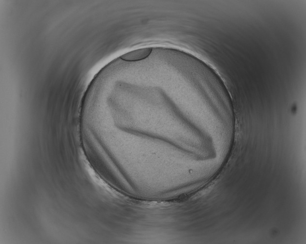 X0000116101534200912140945