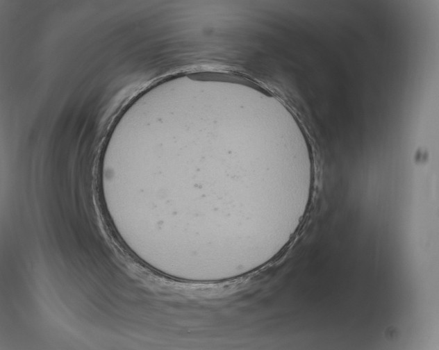 X0000116100001200912211621