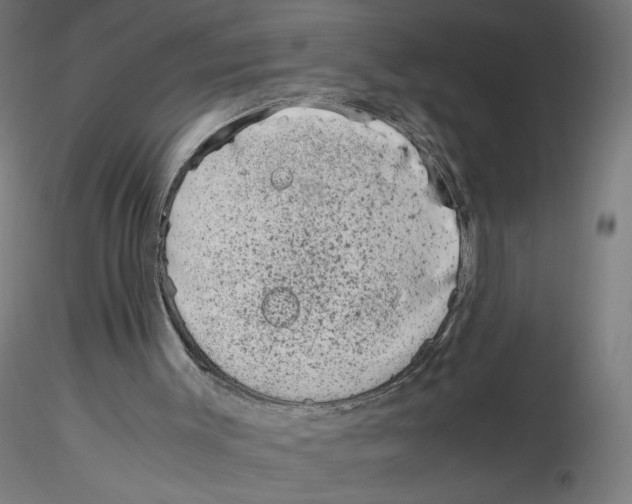 X0000116100003200912211621