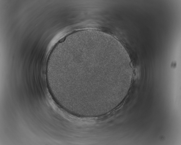 X0000116100004200912211621