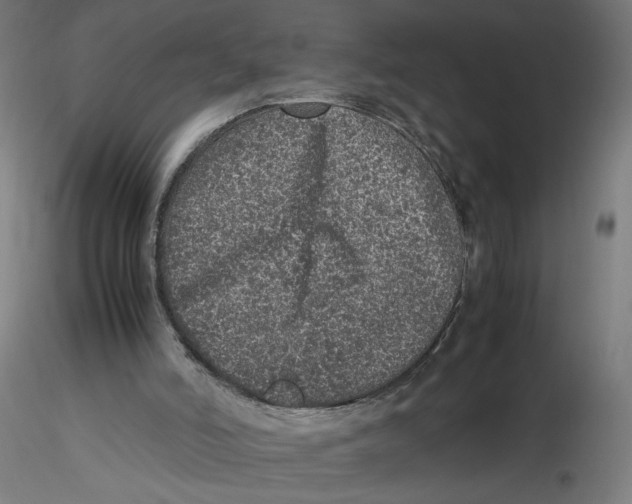 X0000116100006200912211621