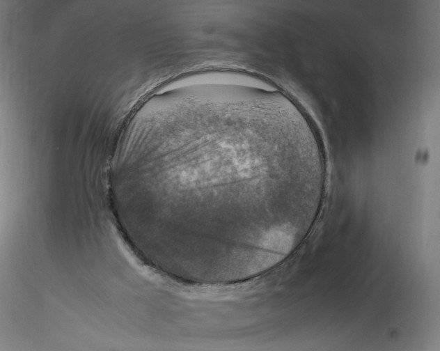 X0000116100009200912211621