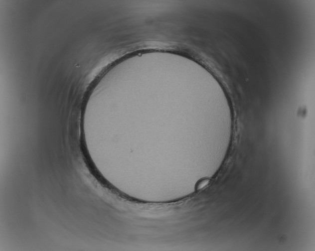 X0000116100011200912211621