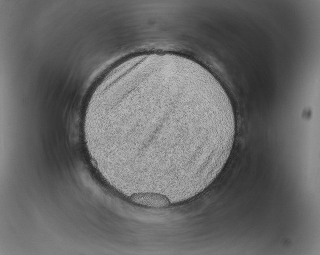 X0000116100012200912211621