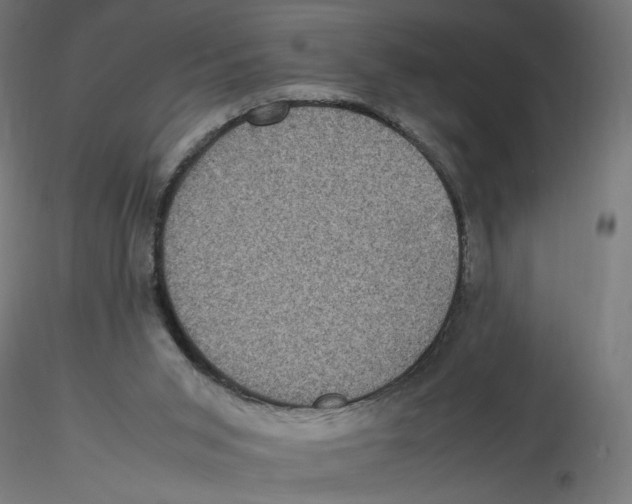 X0000116100015200912211621