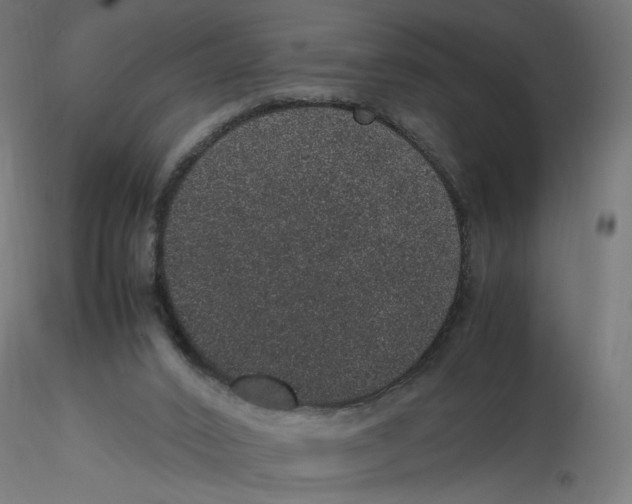 X0000116100016200912211621