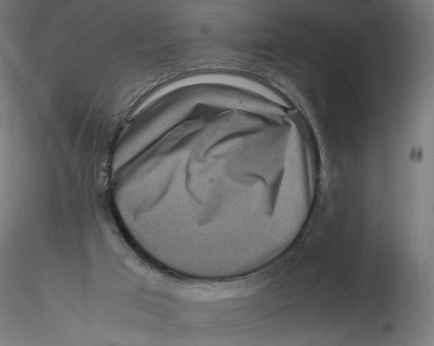 X0000116100017200912211621