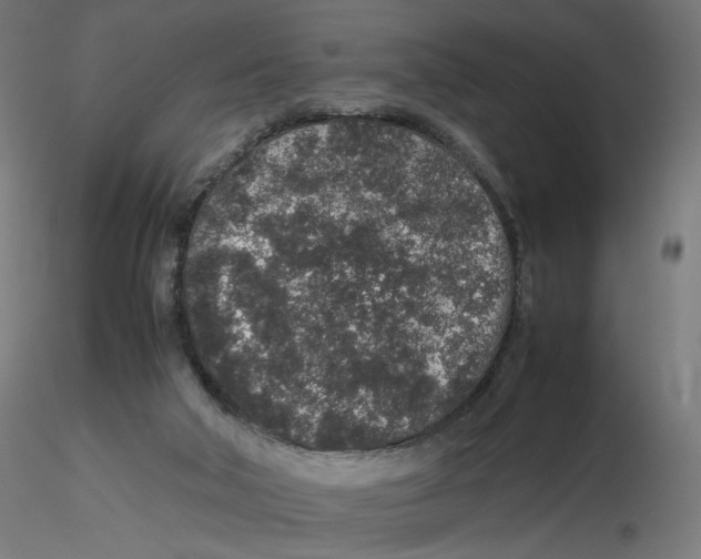 X0000116100018200912211621