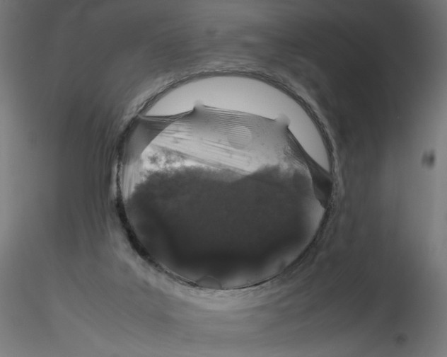 X0000116100019200912211621