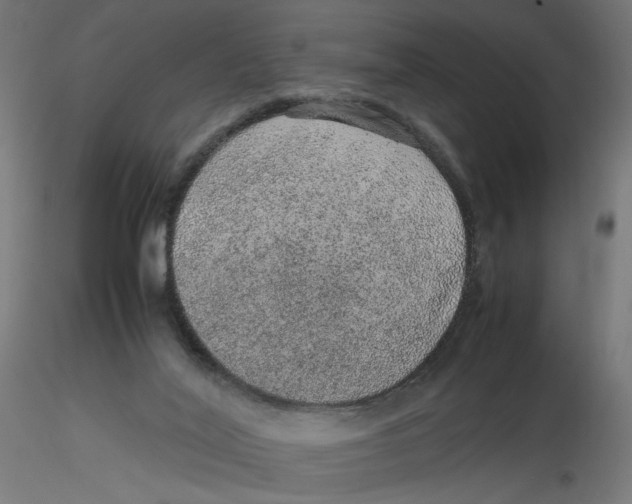 X0000116100020200912211621