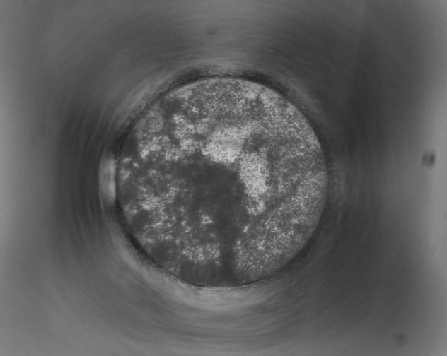 X0000116100022200912211621