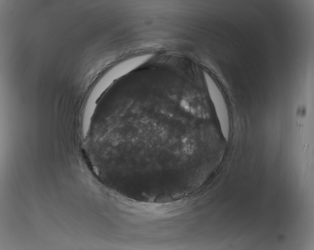 X0000116100023200912211621