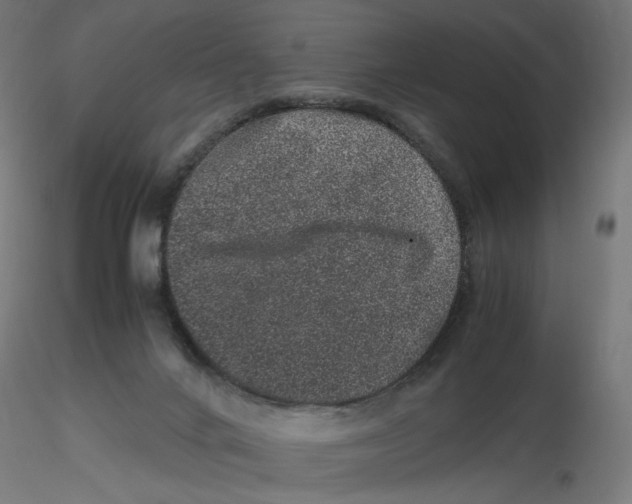 X0000116100024200912211621