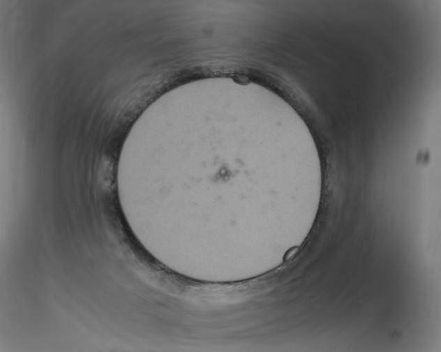 X0000116100025200912211621