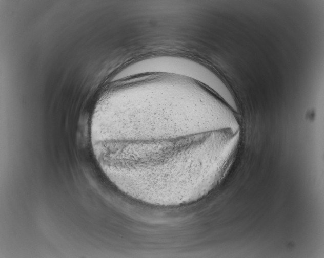 X0000116100028200912211621