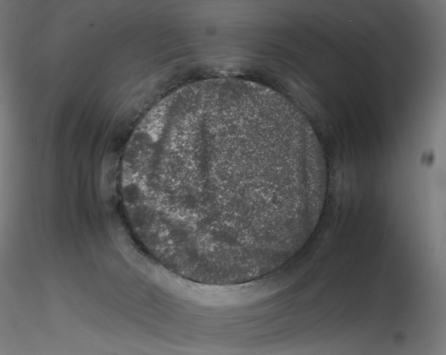 X0000116100030200912211621