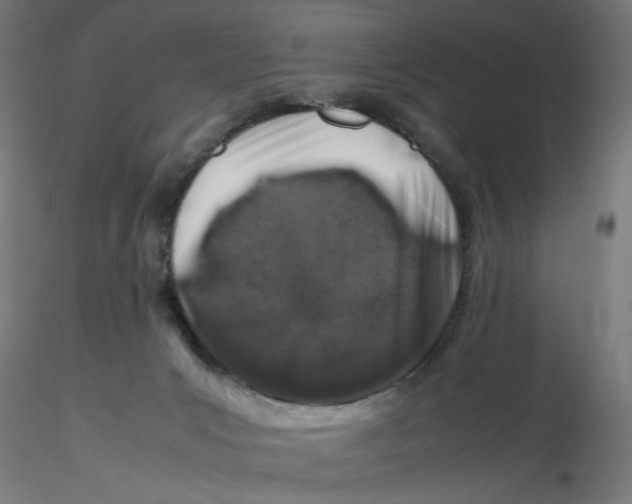 X0000116100031200912211621