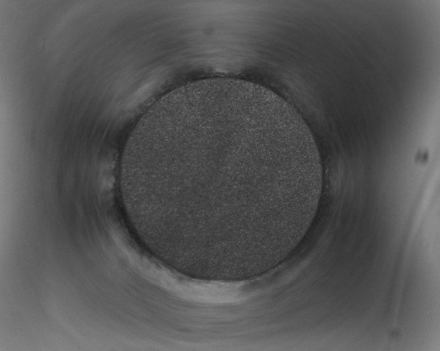 X0000116100032200912211621